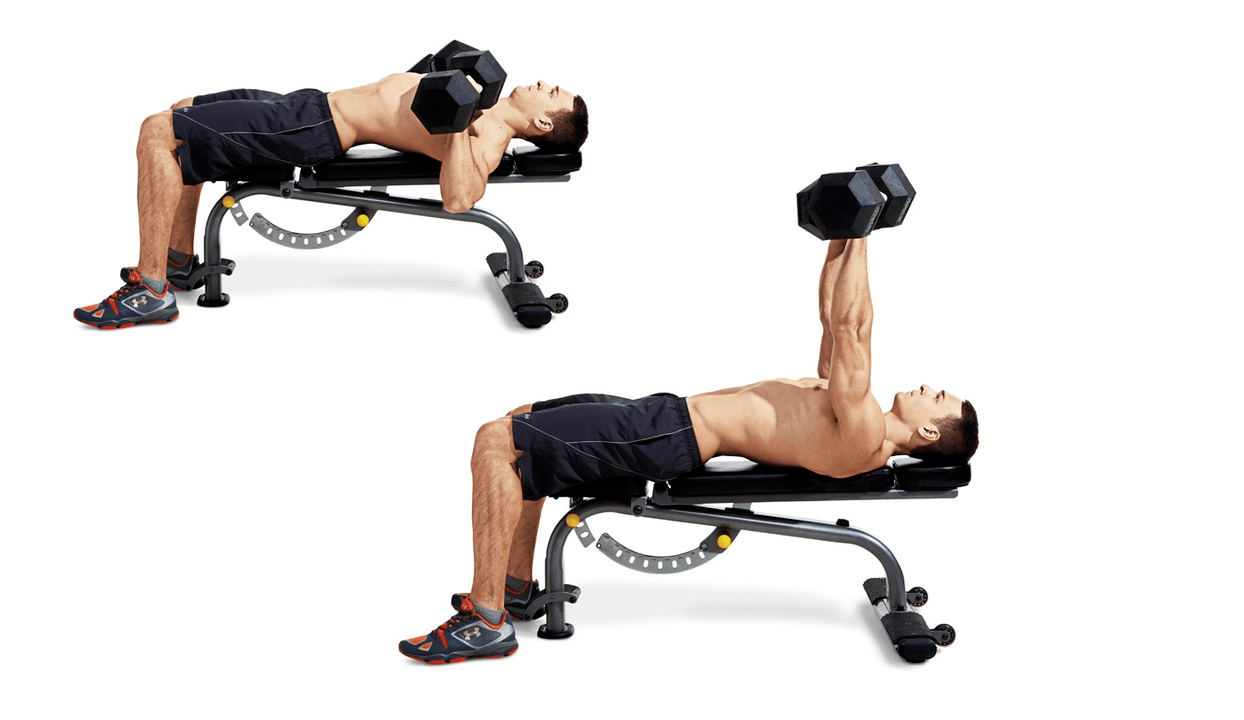 Dumbbell bench for the purpose of training the upper body